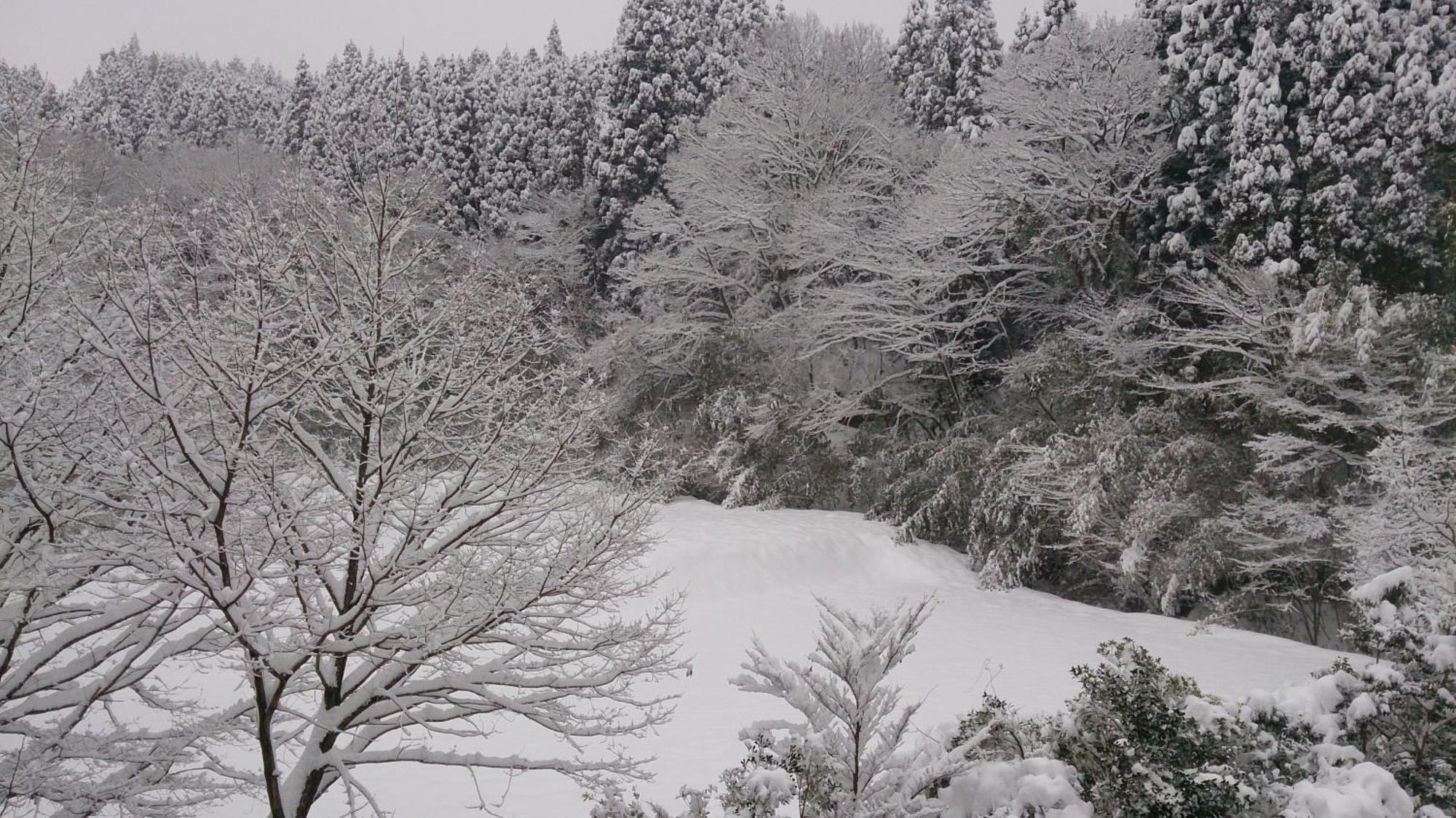 Kurokawa Onsen Ryokan Ichinoi Minamioguni Exteriör bild